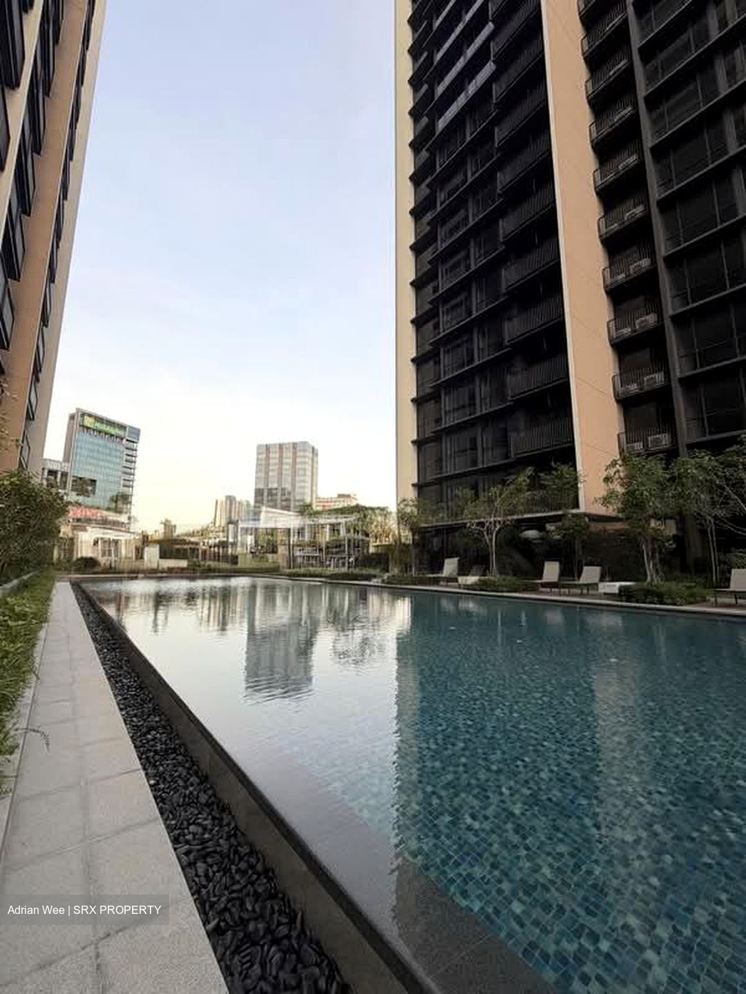 Piccadilly Grand (D8), Apartment #574481361